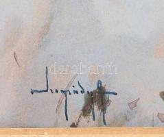 Neogrády Antal (1861-1942): Havas hegyvidéki táj. Akvarell, papír, jelezve balra lent. Üvegezett, ki...