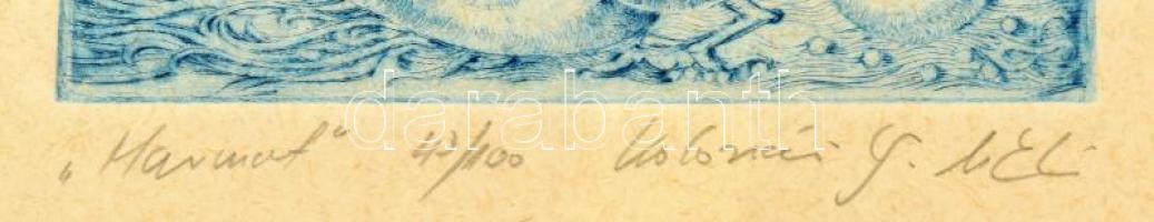 Kolozsvári Grandpierre Miklós (1950-): Harmat. Színes rézkarc, papír. Jelzett, számozott (43/100). Ü...