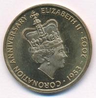 Nagy-Britannia 2003. "A koronázás 50. évfordulója" bronz emlékérem (32mm) T:AU
Great-Brit...