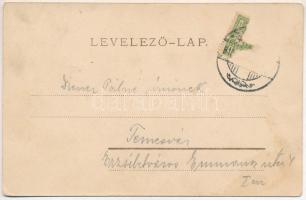 1910 Törökbecse, Újbecse, Novi Becej; utca, Schicht szappan reklám, S. Milovanovits üzlete és saját ...