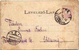 1899 (Vorläufer) Szlatinafüred, Slatina (Aknaszlatina, Máramaros); Pável sósfürdő. Divald, Mayer és ...