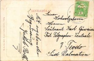 Puhó, Púchov; Látkép a Vág folyóval. W.L. Bp. 5802. Kacser Gábor kiadása / Váh river (fl)