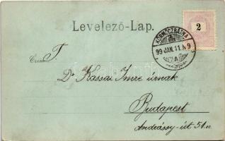 1917 Varannó, Vranov nad Toplou; látkép, Fő utca, üzletek / main street, shops + "VARANNÓ-TŐKE ...