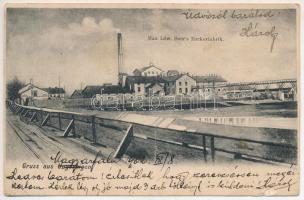 1902 Magyarfalu, Magyarfalva, Ungeraiden, Ungereigen, Uhorská Ves, Záhorská Ves; Max Löw Beer's Zuckerfabrik / Cukorgyár / sugar factory (kis szakadás / small tear)