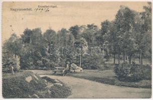 1909 Nagyszombat, Tyrnau, Trnava; Erzsébet liget. Horovitz Adolf kiadása / park