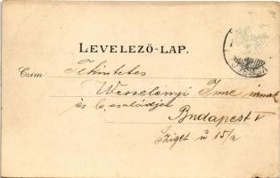 1907 Versec, Werschetz, Vrsac; Ferenc József tér, piac, Steiner, Wassermann, Győri és Bruder Walke ü...