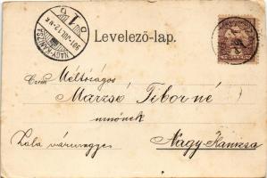 1901 Koritnyica, Korytnica; Pompeji, Tisza és Amalia lak / villas. Art Nouveau, floral (vágott / cut...