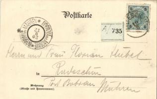 Milesov, Milesovka / Milleschauer (Donnerbsberg) floral litho s: Wold. Krahmer