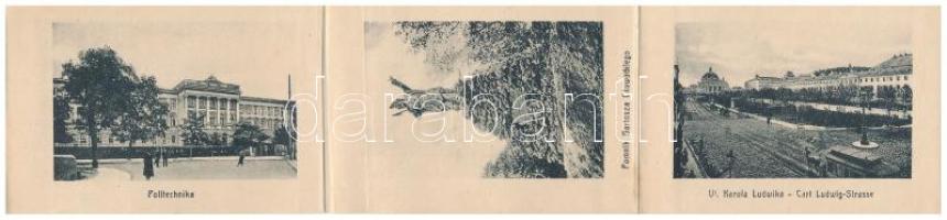 1905 Lviv, Lwów, Lemberg; Kolumna Mickiewicza / monument, shop of M. Karol. Leporellocard with 10 im...