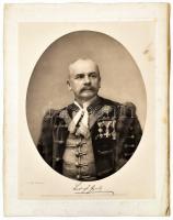 Ludvigh Gyula (1841-1919) vasútépítő mérnök, főrendiházi tag, miniszteri tanácsos portréja. nagy mér...