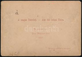 1887 A Poprádi-tó, Tátra, keményhátú fotó Divald Károly eperjesi műterméből, 11×16,5 cm