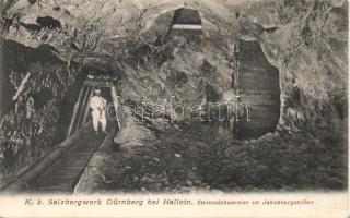 Dürnberg Salt-mine