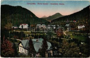 Fenyőháza, Lubochna; Statné hotele / Staatliche Hotels / szállodák. Izidor Holzmann kiadása / hotels, spa (EK)