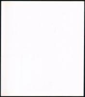 Maurer Dóra, Prosek Zoltán (szerk.): Nyílt Struktúrák Művészeti Egyesület. Bp., 2006, Nyílt Struktúr...