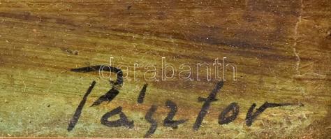 Pásztor jelzéssel: Hattyúk. Olaj, karton. Dekoratív, kissé laza fakeretben. 25x35 cm