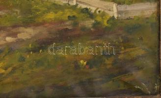 Olvashatatlan jelzéssel: Élet a tanyán. Olaj, vászon, sérült. Dekoratív, sérült fakeretben. 60×80 cm