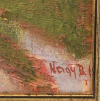 Nagy B. István (1933-2006): A Halászbástya megünneplése. Olaj, vászon, jelezve jobbra lent. Hátoldal...