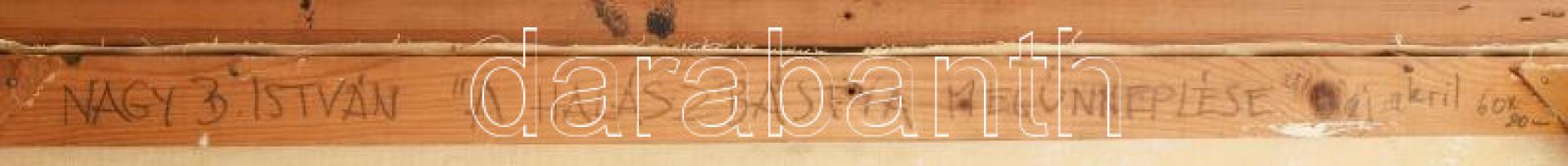 Nagy B. István (1933-2006): A Halászbástya megünneplése. Olaj, vászon, jelezve jobbra lent. Hátoldal...