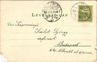 1905 Mór, Moór; Vértes-hegy, Fő utca, Wiesner János üzlete. Weisner István kiadása. Art Nouveau, gra...
