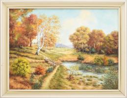 Németh O. jelzéssel: Napfényes táj. Olaj, vászon, jelzett, dekoratív fakeretben, 45×60 cm