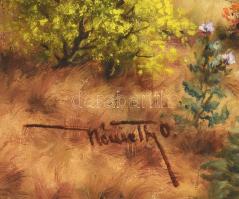 Németh O. jelzéssel: Napfényes táj. Olaj, vászon, jelzett, dekoratív fakeretben, 45×60 cm