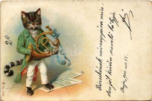 1900 Macska zenész kürttel / Cat musician with French horn. litho