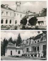 Borsod vármegye: Aranyospusztai mezőgazdasági szakmunkásképző iskola erdészeti tagozat, Ónodi Török kastély, Ludányhalászi Ráday kastély, Füzérradványi kastély (kórház) - 4 db modern Képzőművészeti Alap képeslap