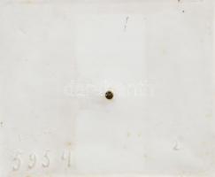 Herendi Lenin porcelán büszt, fehér mázas és biszkvit, hibátlan, jelzett, m: 17 cm