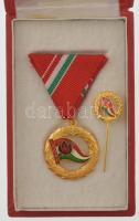 ~1970-1980. "Előre - Kiváló Úttörővezető" aranyozott, zománcozott kitüntetés mellszalagon, eredeti tokban, miniatűrrel T:AU