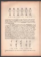 Sz. Szentpál Mária: A mozdulatelemzés alapfogalmai. Kézkönyv a táncleírások olvasásához. Bp., 1967, ...