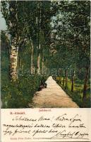 Balatonalmádi, Juliska út. Kiadja Pósa Endre (Rb)