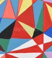 Sugár Gábor (1976-): Geometrikus kompozíció (cím nélkül). Akril, vászon, jelzett, hátoldalán autográ...