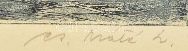 Csurgói Máté Lajos (1931-2001): Tihanyi házak, rézkarc, papír, jelzett, 25×34 cm