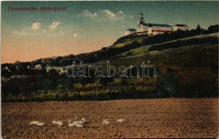 Pannonhalma, délnyugatról