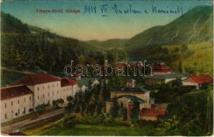 1918 Vihnye, Vihnyefürdő, Kúpele Vyhne; fürdő látképe / spa (fa)