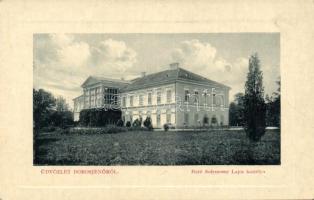 Borosjenő Castle of Lajos Solymossy