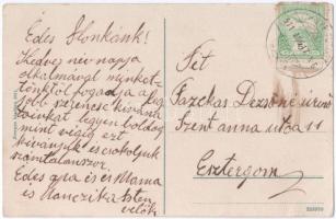 1911 Vihnye, Vihnyefürdő, Kúpele Vyhne; fürdő látképe. Joerges kiadása / spa (fa)