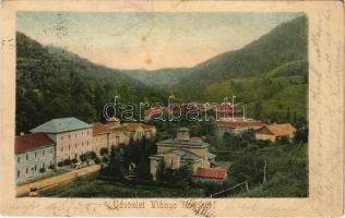 1903 Vihnye, Vihnyefürdő, Kúpele Vyhne; fürdő látképe / spa (fl)