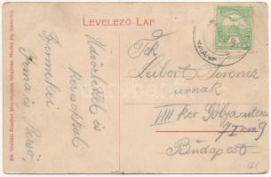 1911 Gödöllő, Királyi kastély parkja és üvegháza (ázott / wet damage)