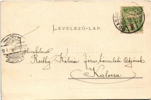 1902 Brassó, Kronstadt, Brasov; Árvaház utcai kapu. Julius Müller / Porta Scheilor / Waisenhausgässe...