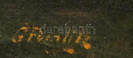 Olvashatatlan jelzéssel: Háborgó tenger. Olaj, karton. Dekoratív, kissé sérült fakeretben. 34x48 cm