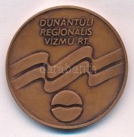 Fritz Mihály (1947-) 2006. "20 év vízügyi szolgálatért / Dunántúli Regionális Vízmű Rt." b...