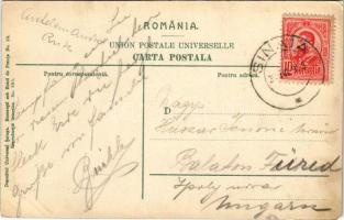 Sinaia, Vedere generala a parcului (small tear)