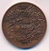 Fritz Mihály (1947-) 1997. "110 éves a Nemesfémműves Ipartestület" kétoldalas bronz emléké...