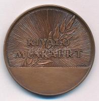 Renner Kálmán (1927-1994) DN "Graboplast emlékérem / Kiváló munkáért" kétoldalas bronz eml...