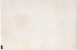 Vihnye, Vihnyefürdő, Kúpele Vyhne; turistaház, utca. Herzeg M. kiadása / tourist house, street (non ...