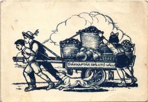 Diákkaptár szállító vállalat. Diákkaptár szövetség propaganda lapja (gyűrődések / creases)