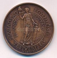 Fritz Mihály (1947-) 1989. "A francia szabadságharc 200. évfordulója (Szabadság, Egyenlőség, Testvériség - Francia Köztársaság)" kétoldalas bronz emlékérem (42,5mm) T:UNC