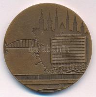 Lapis András (1942-) DN &quot;Hotel Hungária Szeged&quot; bronz emlékérem (42,5mm) T:XF patina