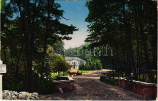 1925 Pozsony, Pressburg, Bratislava; Vaskutacska, sétány / zelezná studénka / spa, promenade (